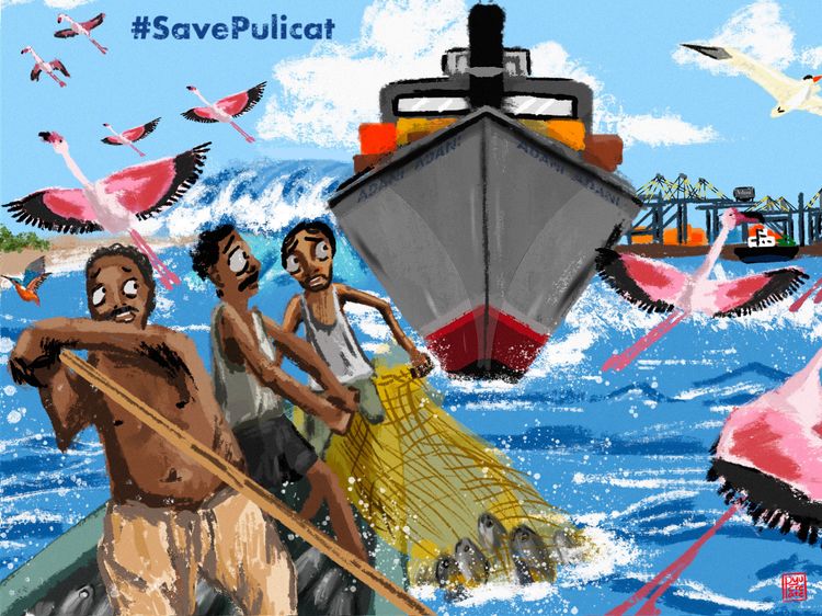 #5 Are port-projects choking India's fishers?