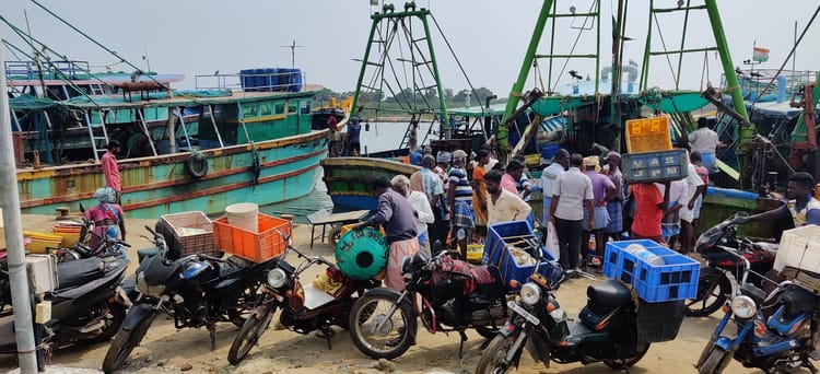 #12 Fishing for a future: A  livelihood challenged by coastal infra transformation in Mudasalodai